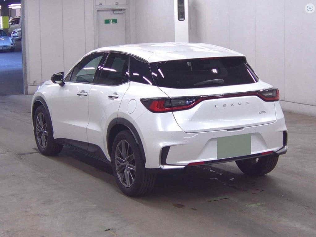 2025 LUXES LBX